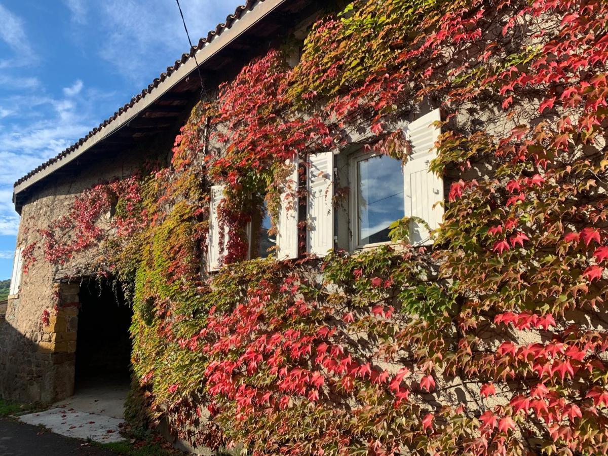 Le Gite De Buffetieres Saint-Romain-de-Popey Εξωτερικό φωτογραφία
